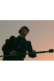 Hunting the Gauleiter