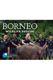 Borneo Wildlife Rescue