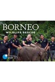 Borneo Wildlife Rescue