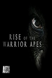 Rise of the Warrior Apes