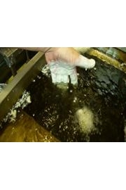 Hiroyuki Terada Diaries of a Master Sushi Chef