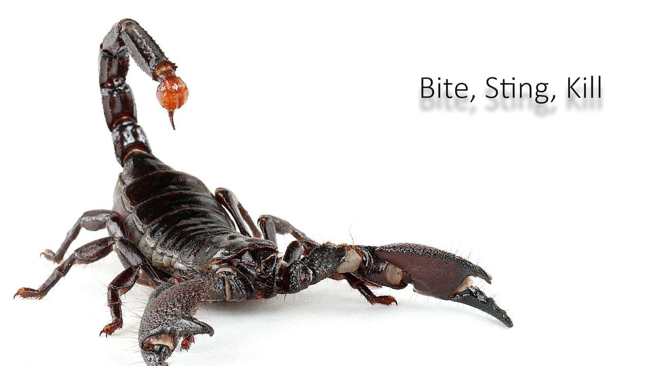 Bite, Sting, Kill