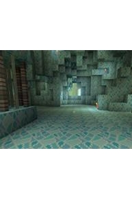 Michael Plays Minecraft Adventure Time