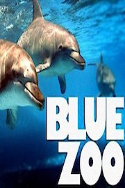 Blue Zoo