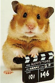 Once Upon a Hamster