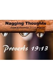 Nagging Thoughts From A Proverbs 27:16 Woman
