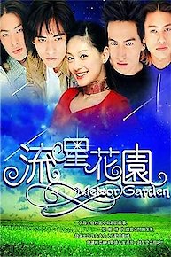 Meteor Garden