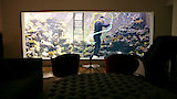 Chicago Cubs Cave, Aquarium House, The Love Boat