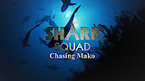 Chasing Mako