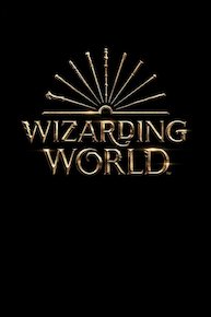 Wizarding World