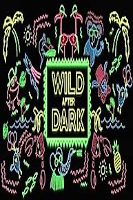 Wild After Dark