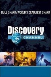 Bull Shark: World's Deadliest Shark