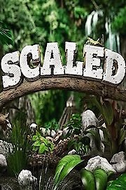 Scaled