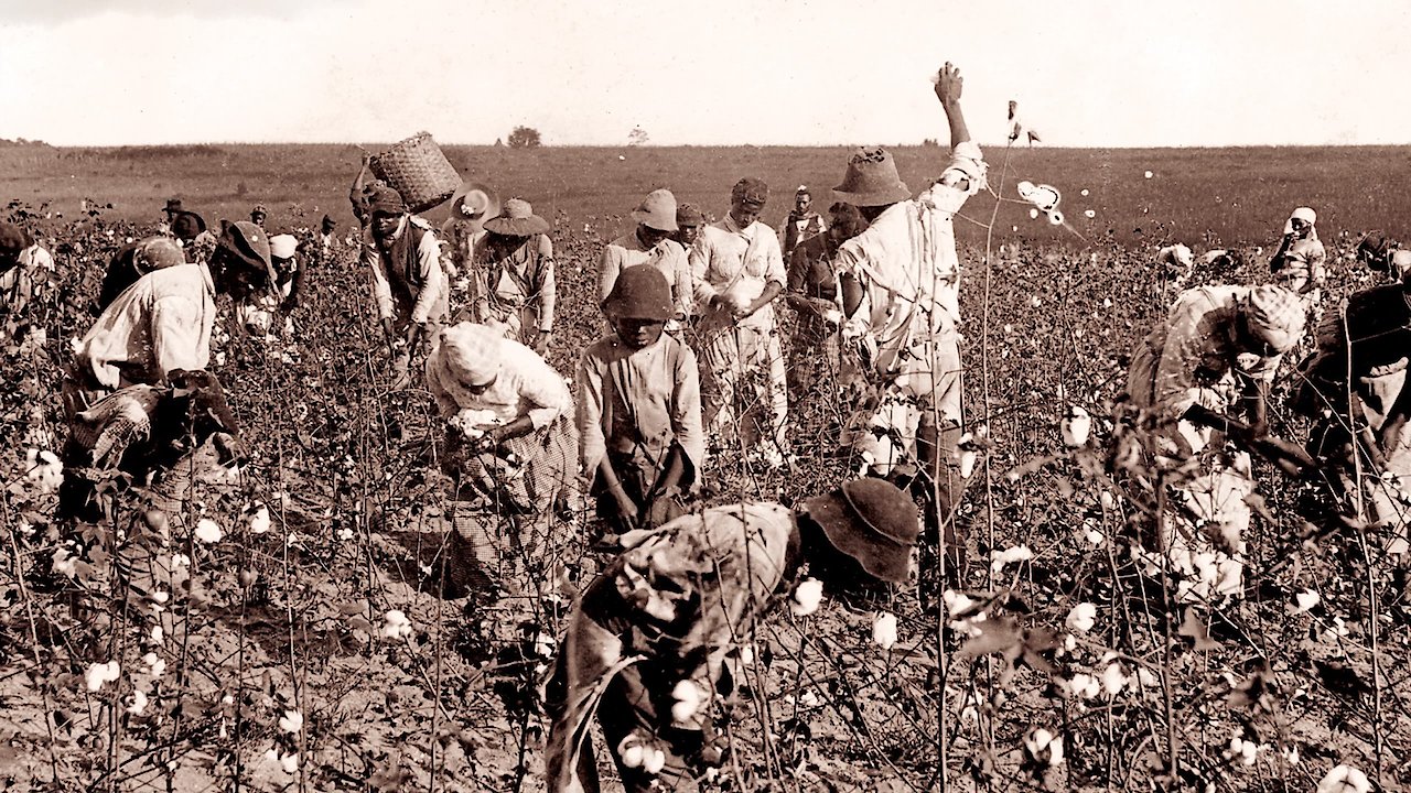 Slavery and the Making of America