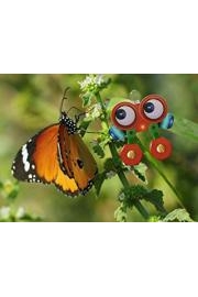 My Animal Friends with Robi - Spanish Audio