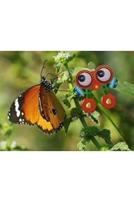 My Animal Friends with Robi - Spanish Audio