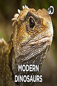 Modern Dinosaurs