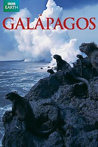 Galapagos