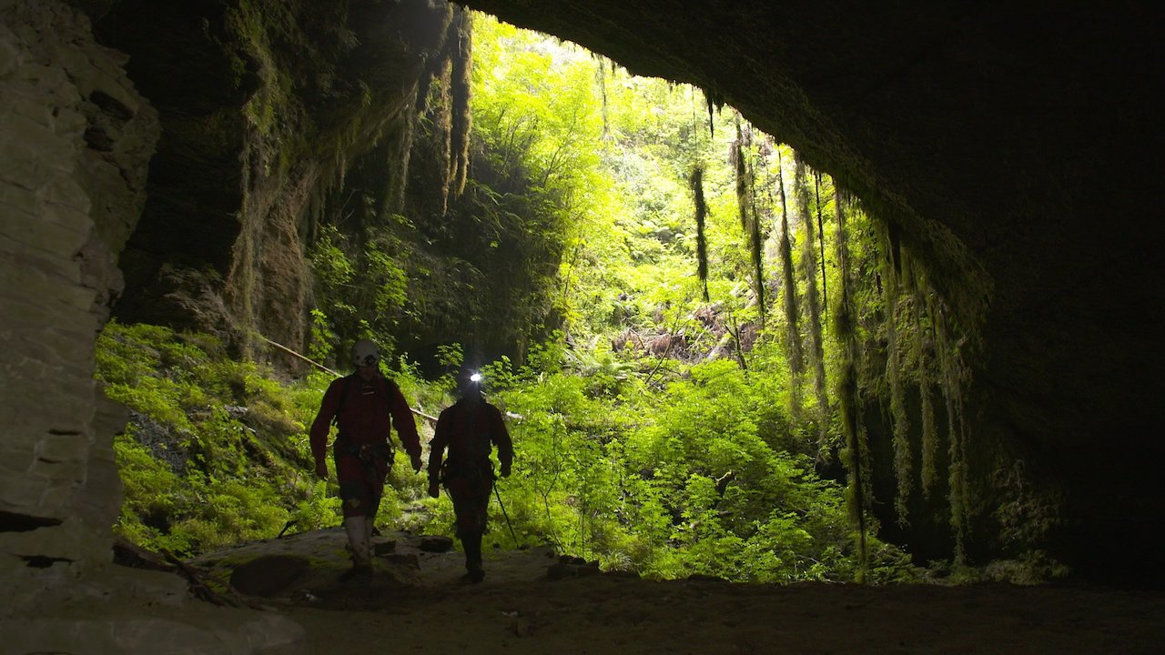 Beneath New Zealand
