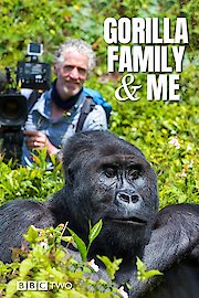 Gorilla Family & Me