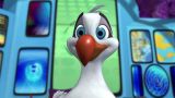 The Albatross