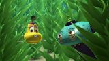Great Barrier Grief