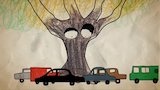 Tired of Being an Oak Tree