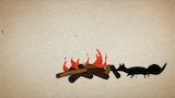 Fires, Foxes snd Phantasms of the Night