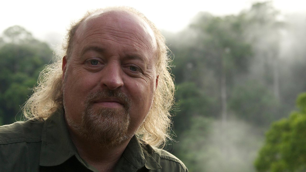 Bill Bailey's Jungle Hero