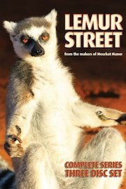 Lemur Street