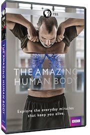 The Amazing Human Body