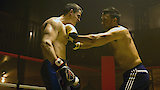 Fights