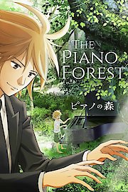 Forest of Piano