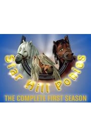 Star Hill Ponies