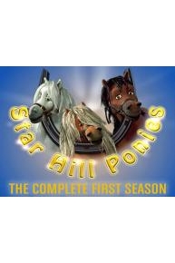 Star Hill Ponies