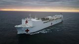 US Navy Mega Hospital
