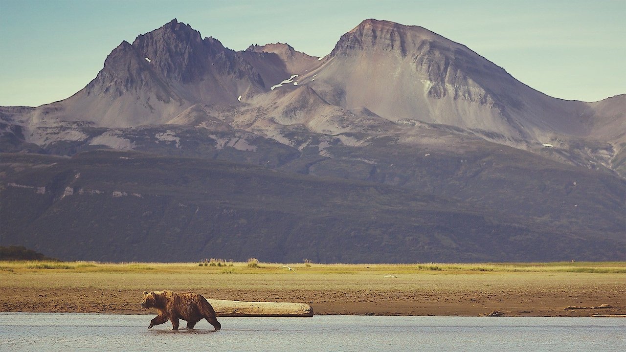 Into Alaska