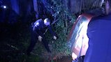 Live PD: Rewind - 307