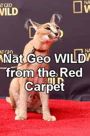 Nat Geo WILD from the Red Carpet