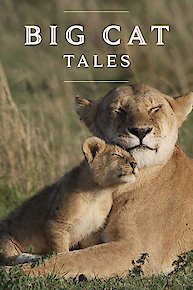 Big Cat Tales