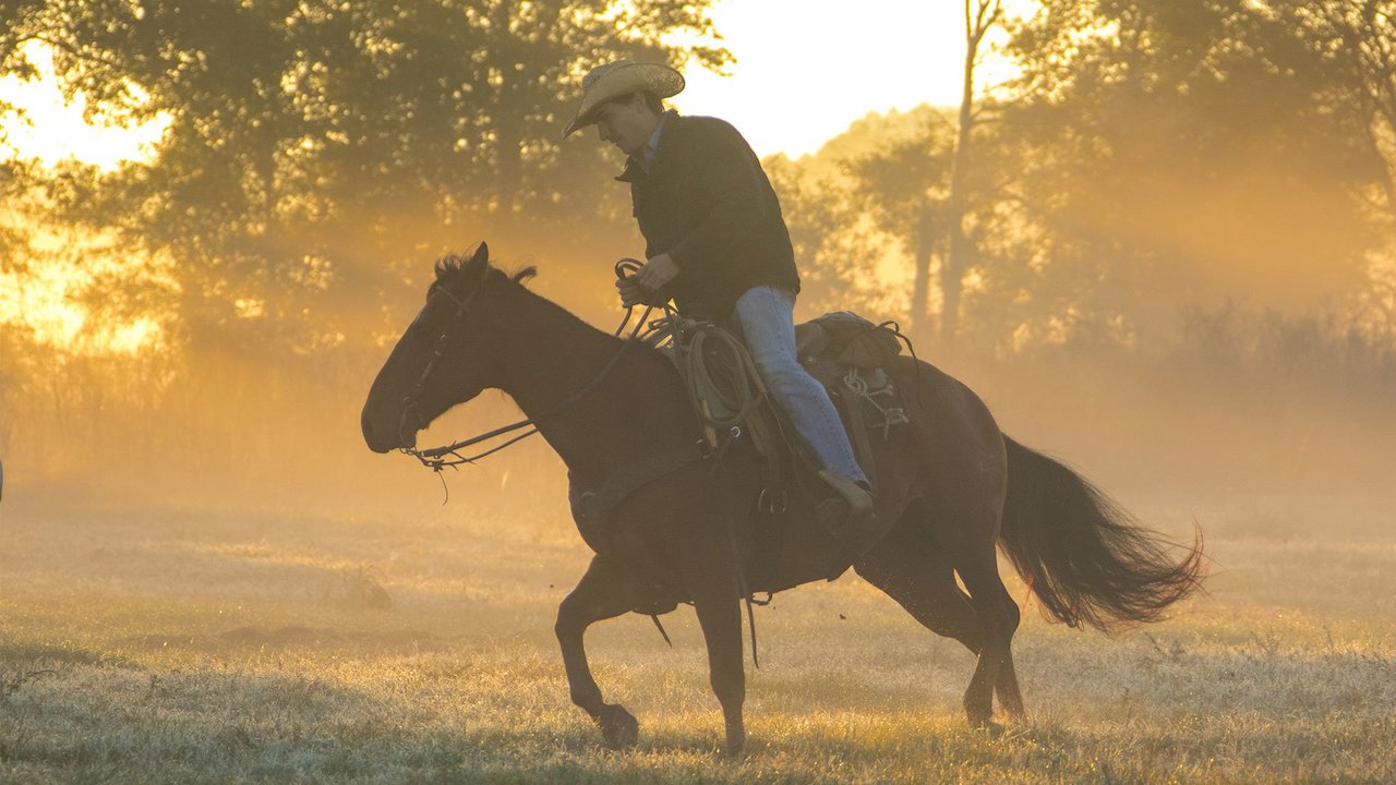 The Cowboy Way