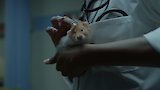 My Hamster Hates Me