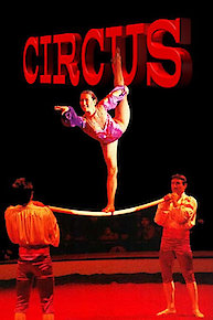 Circus