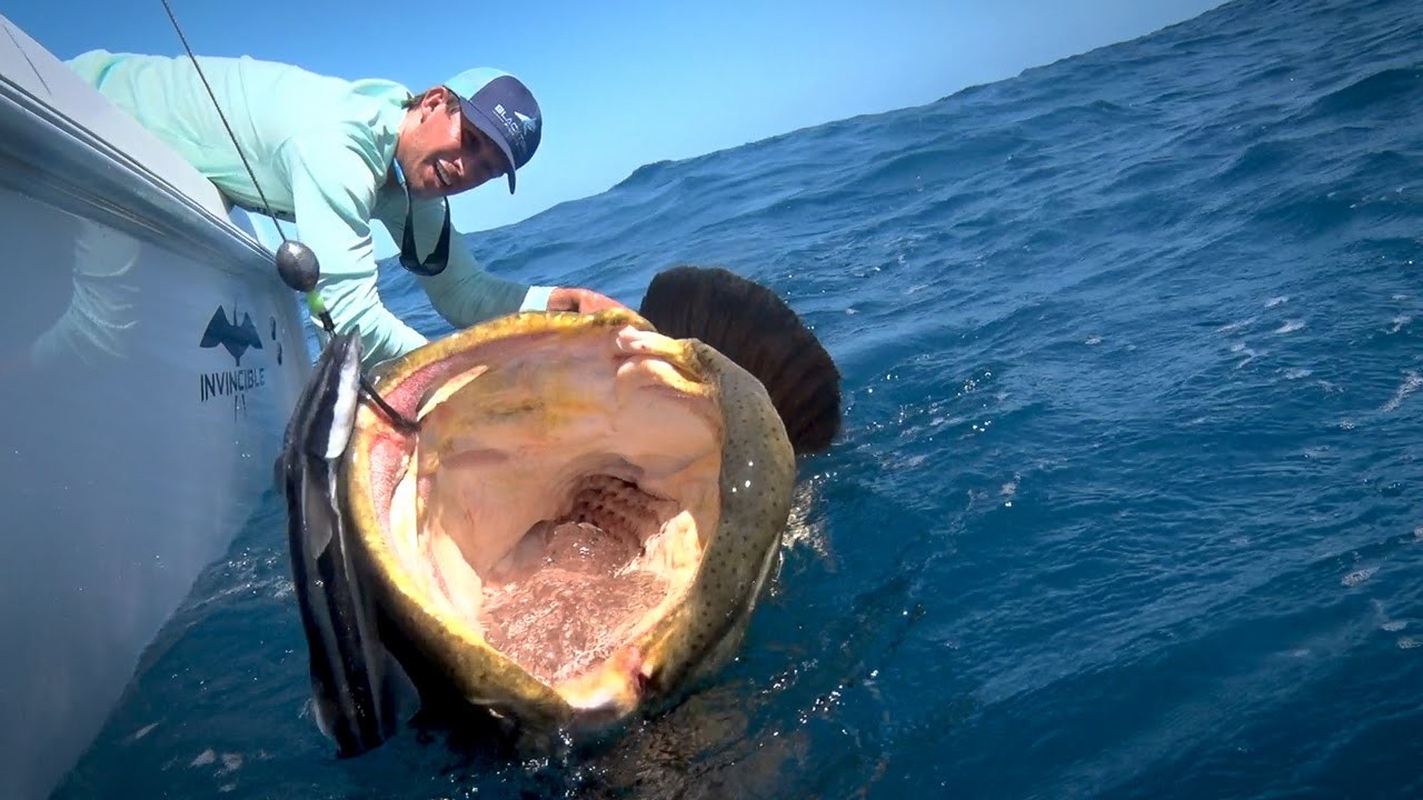 Monster Fish: Off The Hook!