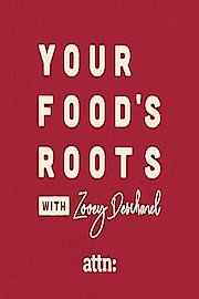 Your Food's Roots