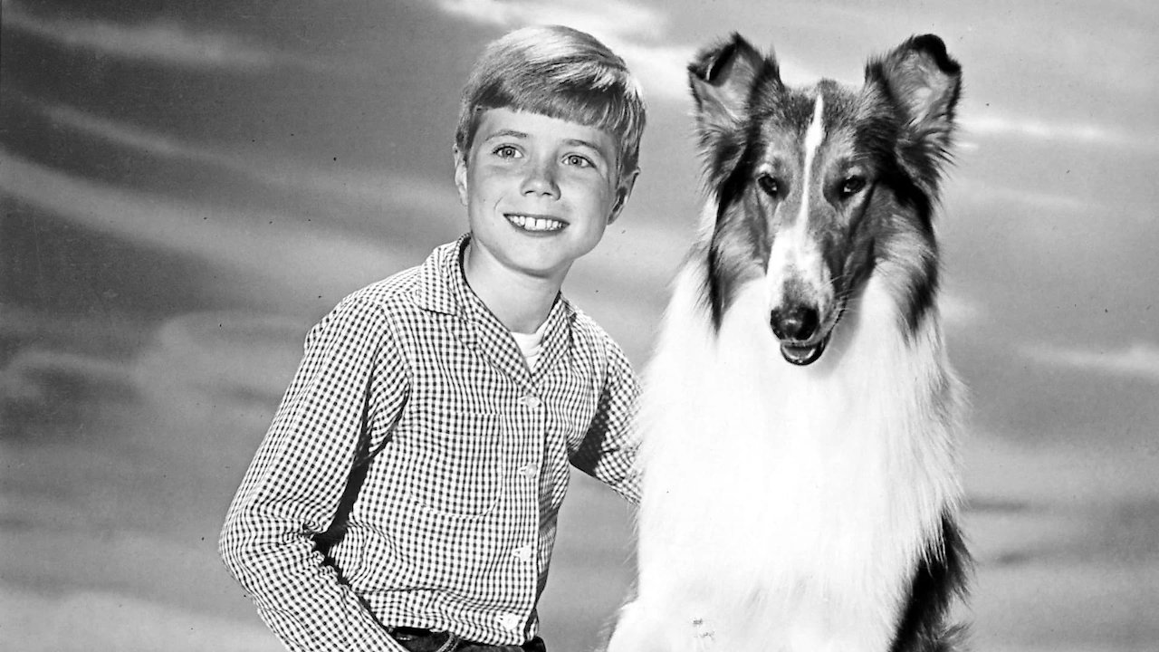 Lassie