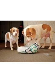 Cute Dogs Maymo & Penny