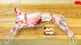 How to Butcher an Entire Lamb: Every Cut of Meat Explained