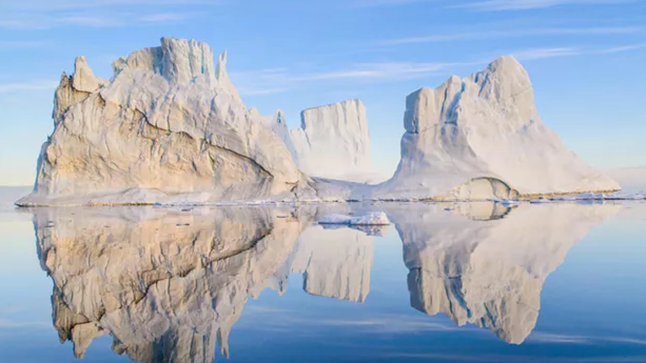 Wild Arctic