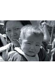Witness to a Massacre: Nanjing 1937